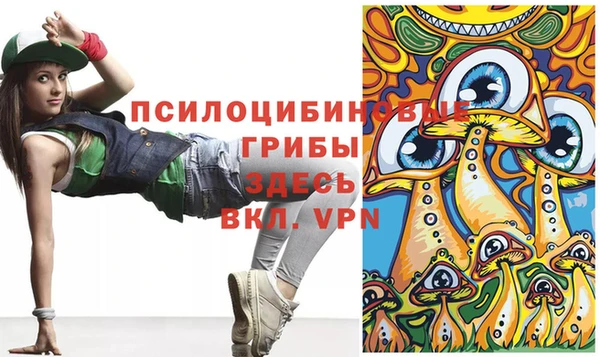 2c-b Армянск