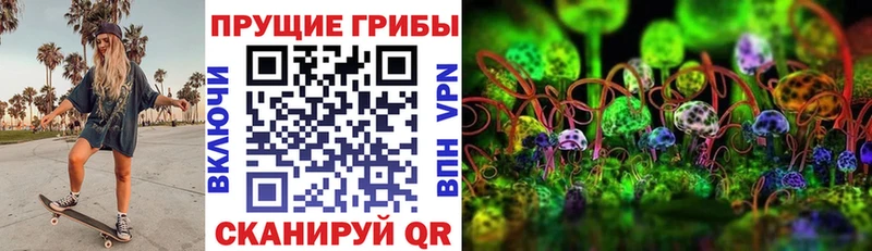 Псилоцибиновые грибы GOLDEN TEACHER  Купить закладки  Ейск 
